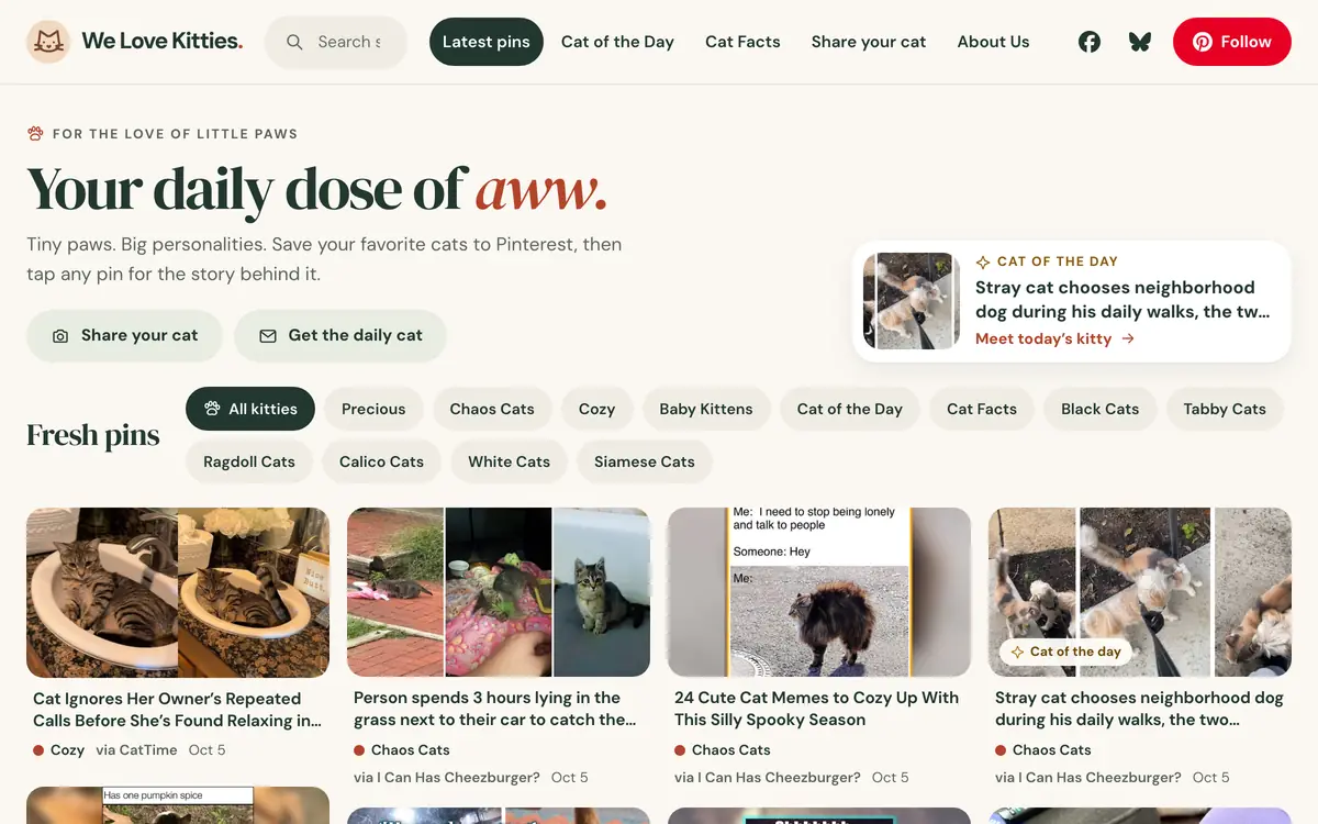 Screenshot of the We Love Kitties home page